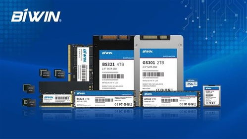 國產半導體龍頭企業佰維存儲向港交所提交上市申請書，拓展信息技術咨詢服務市場